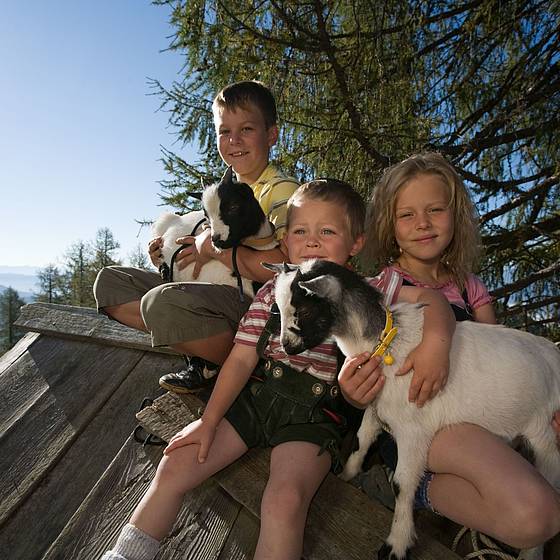 Tierischer Kinderspaß im Salzburger Lungau (c) Ferienregion Salzburger Lungau